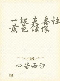 一级夫妻性生活黄色录像