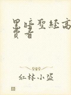 黑暗圣经高清免费看