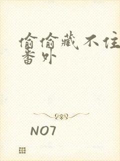 偷偷藏不住新婚番外