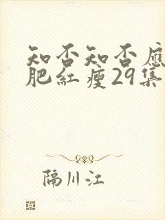 知否知否应是绿肥红瘦29集封面