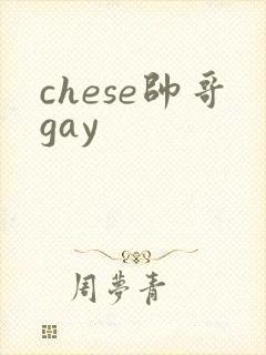 chese帅哥gay