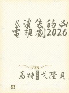 《消失的凶手》电视剧2026在线观看