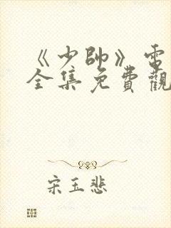 《少帅》电视剧全集免费观看高清封面