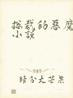 总裁的恶魔小妻小说