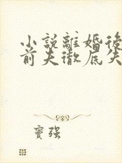 小说离婚后豪门前夫彻底失了控全文