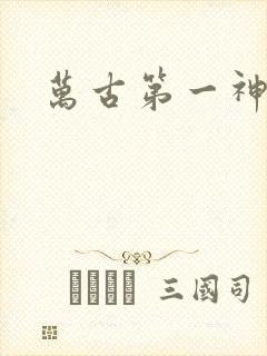 万古第一神完结