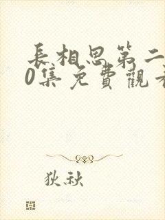 长相思第二季40集免费观看全集