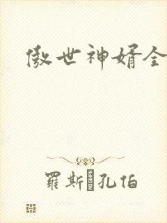 傲世神婿全篇