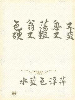 色翁荡息又大又硬又粗又爽