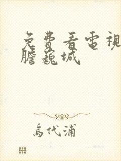 免费看电视剧虎胆巍城