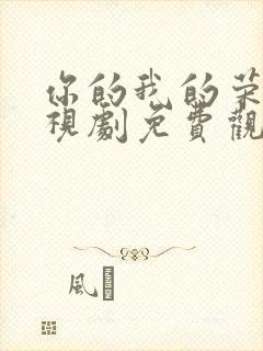 你的我的荣耀电视剧免费观看高清