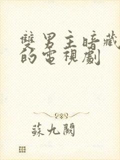 双男主暗藏十年的电视剧