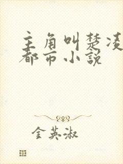 主角叫楚凌霄的都市小说封面