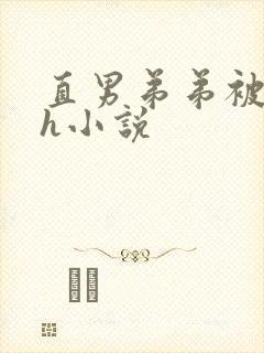 直男弟弟被哥哥h小说