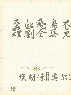 至此飞鸟不相逢短剧全集免费