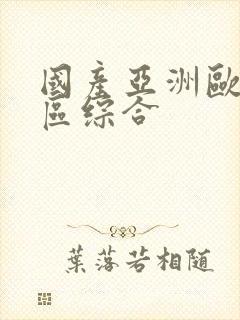 国产亚洲欧美二区综合