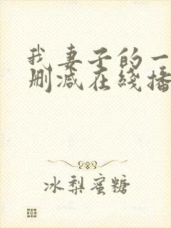 我妻子的一切未删减在线播放封面