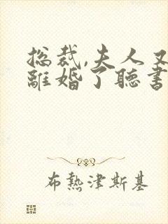 总裁,夫人又闹离婚了听书全文