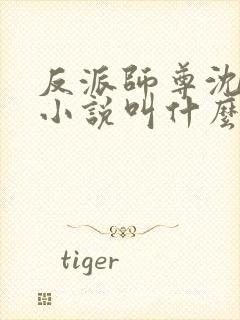 反派师尊沈括的小说叫什么