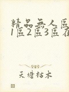 精品无人区乱码1区2区3区在