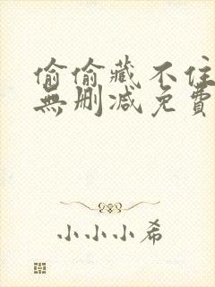 偷偷藏不住全文无删减免费阅读