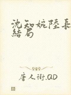 沈知婉陆长烽大结局封面