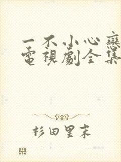 一不小心恋爱了电视剧全集免费封面