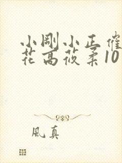 小刚小正催眠校花高莜柔10小说