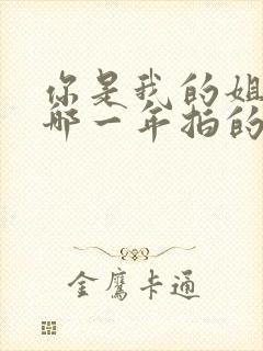 你是我的姐妹是哪一年拍的电视剧