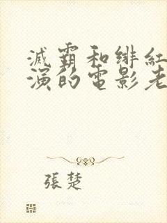 灭霸和绯红女巫演的电影老男孩