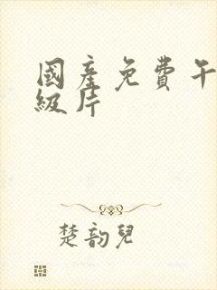 国产免费午夜一级片