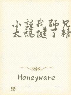 小说我师兄实在太稳健了精校版封面