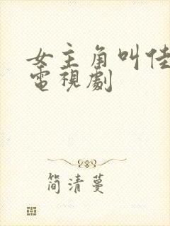 女主角叫佳慧的电视剧封面