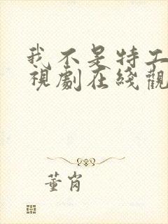 我不是特工 电视剧在线观看