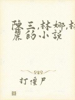 陈三,林娜,林丽的小说