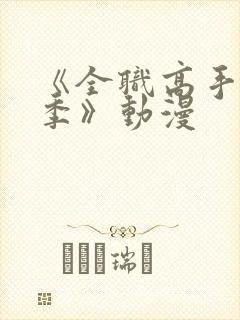 《全职高手第二季》动漫