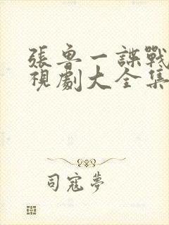 张鲁一谍战片电视剧大全集封面