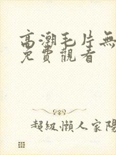 高潮毛片无遮挡免费观看