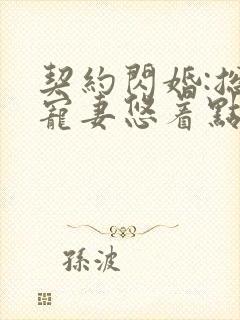 契约闪婚:总裁宠妻悠着点