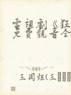 电视剧《狂飙》免费观看全集高清