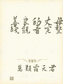 善良的丈母娘在线观看完整版全集