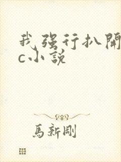 我强行扒开的腿c小说封面