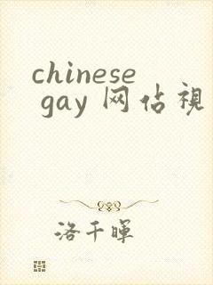 chinese gay 网站视频