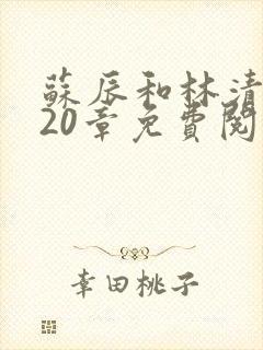 苏辰和林清婉第20章免费阅读封面