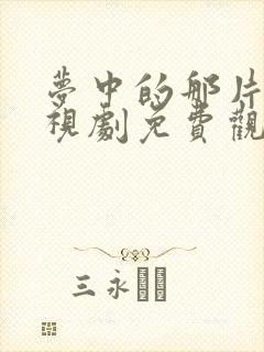 梦中的那片海电视剧免费观看星辰封面