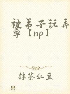 被弟子玩弄的师尊【np】