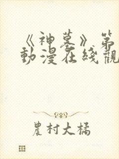 《神墓》第三季动漫在线观看全集免费