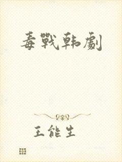 毒战韩剧