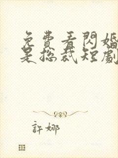 免费看闪婚老公是总裁短剧