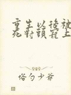 重生以后被渣男死对头宠上天